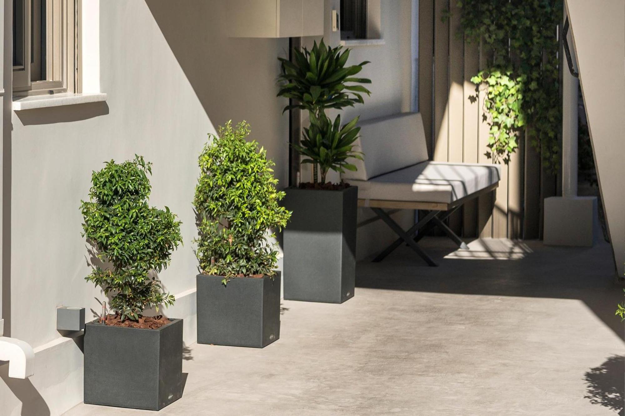 Π Suite Project: Smart BnB Chania  Buitenkant foto